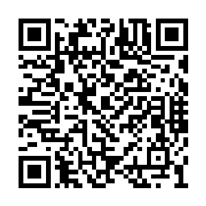 他们根本就不会在乎受不受到星河之神的报复了二维码生成