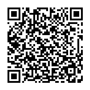 他们根本就不相信那个看上去很孱弱的东方面孔能真的那么轻易地打败拳王阿龙二维码生成