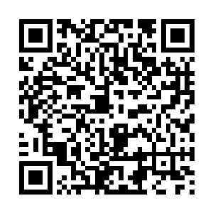 他们根本就没有反应过来丹药就已经吞到了肚子里二维码生成