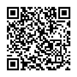 他们根本感觉不到在自己所在的那片天空之外的世界二维码生成