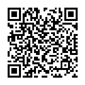 他们欣喜的是一直压着他们的许紫烟终于有这一败二维码生成