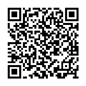 他们正在加紧赶制驱蚊棒等对抗瘴气蚊虫的药材二维码生成