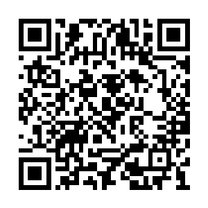 他们正在用不同的方法反抗这个惊天的秘密罢了二维码生成
