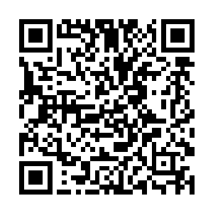 他们正是与自己有着不共戴天之仇的陈若风与云天明二维码生成