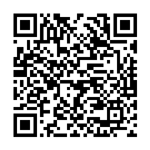 他们正是军校的第四势力多童机甲团的张京安一伙二维码生成