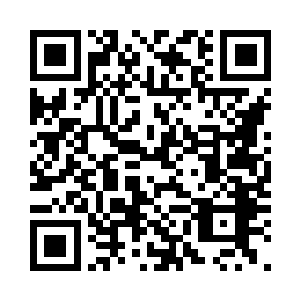 他们此时在一个巨大的岩洞世界之内二维码生成