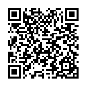 他们此时感觉自己的一百块上品灵石真的没有白花二维码生成