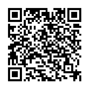 他们此番目的并不需要对上林恶禅或许也能完成二维码生成