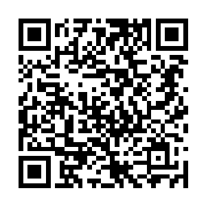 他们母子俩的生活立马就会来一个翻天覆地的变化二维码生成