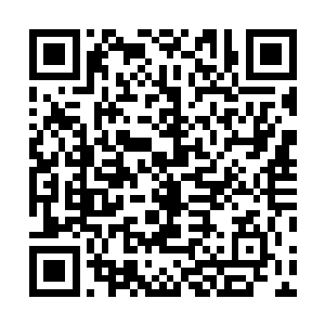 他们每一个人身上都有着绝顶剑客身上才有会有强者气息二维码生成