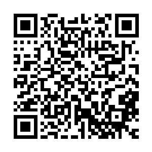 他们每一个人都已经一步步地被沈佳和卓玛引入了蜜糖陷阱之中二维码生成