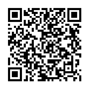他们每一个出现在我们面前的战士都是神血战士二维码生成