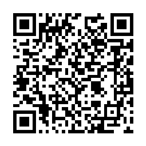 他们每天只能靠着不断消耗自己的力量来维持生机二维码生成