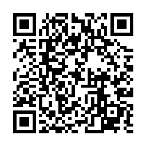 他们永远都不可能知道真正的智慧和文明是什么样子二维码生成