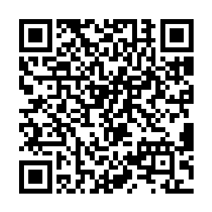 他们永远都只会觉得自己是这个等级最出色的炼丹师二维码生成