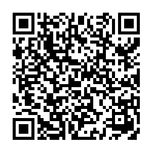 他们没想到他们竟然还有这种机会可以免费的观看如此多顶级神高手战斗二维码生成