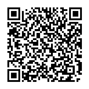 他们没想到夏天这个看上去不到二十岁的小子居然能够和海军大将战斗二维码生成