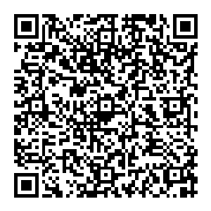 他们没想到金德瑞会这么看重这个只拍过一次广告片甚至连名字都没办法让人记住的男演员――金导和不少大明星合作过二维码生成