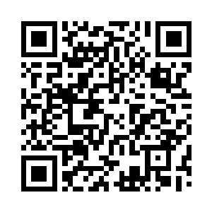 他们没有在地下大厅中发现梦拉丽娜的助理二维码生成