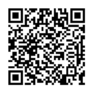 他们没有想到这两个人之间居然会有了新的赌约二维码生成