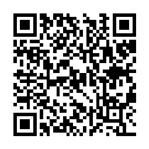 他们没有想到这么一件小事会引出我这个代理殿主二维码生成