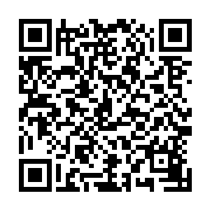 他们没有想到郑凌寒竟然敢在院庆上做出如此疯狂的举动的二维码生成