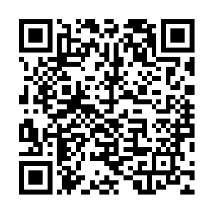 他们没有想到隐世家族和四大超级家族会妥协得如此彻底二维码生成