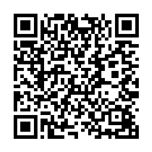 他们没有这些代码就无法解开目前手中的那些资料二维码生成