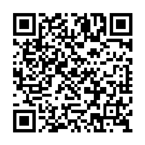 他们没有遇上或者杀掉任何一个修炼血魔的高手二维码生成
