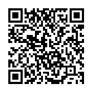 他们派我做代表过来――我想――我能和你握握手吗二维码生成