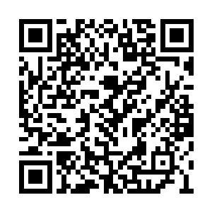 他们满脸激动的眼冒红光的双手捧心的看着秦洛二维码生成