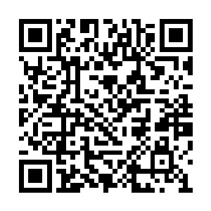 他们焚炎塔岂不是又多了一位仙武巅峰的学生吗二维码生成