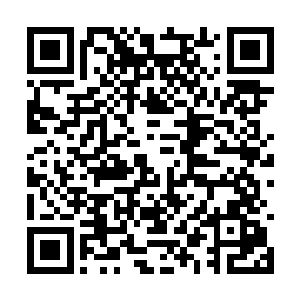 他们爱怎么写就怎么写――你是被我给你惹麻烦吧二维码生成