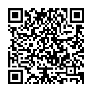 他们特殊的身体结果让它们可以呆在地心神焰这样的环境当中二维码生成