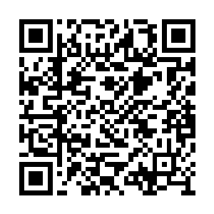 他们玄道门的人每年都会有优秀的子弟出去历练二维码生成