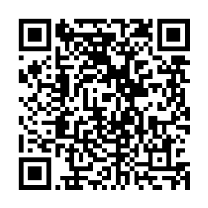 他们现任凌家家主凌蘭在学院中受到神秘的领域级导师偷袭二维码生成