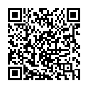 他们现在不是应该规规矩矩老老实实躲在别人身后么二维码生成