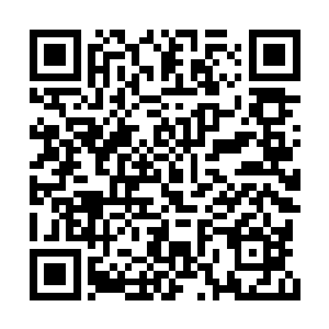 他们现在全部都已经被眼前这个看起来笑容温和二维码生成