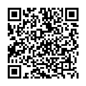 他们现在只能眼睁睁的看着那些丑陋的野兽等死二维码生成