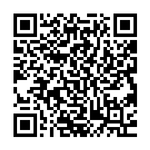他们现在对待裴心跟洛天蕊也都是按照父亲心疼母亲的标准来的二维码生成