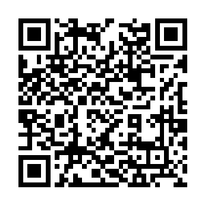 他们现在所等待的就是五百年一次的大传送阵开启二维码生成