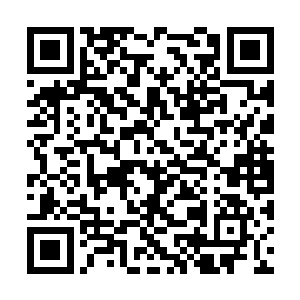 他们现在最感兴趣的就是秦宗师的仙缘还有那仙殿二维码生成