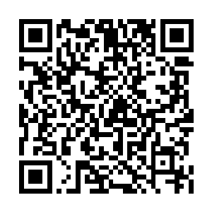 他们现在真的是一点都不担心秀韵的个人问题了二维码生成