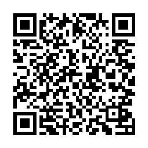 他们现在自多不过感知七八层境界或者意识临摹的一二层二维码生成