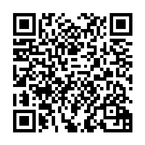 他们现在还没有资格参与到加入联盟的这种大事里面去二维码生成