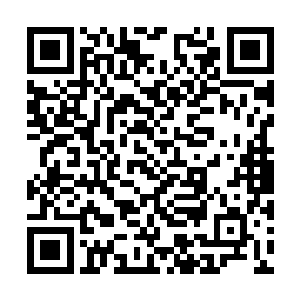 他们琢磨着现在四个人估计至少有三个已经没命了二维码生成