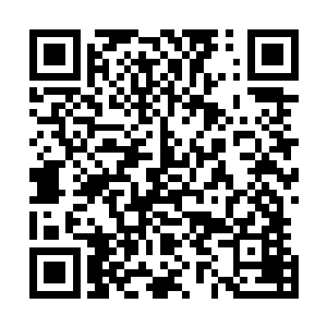 他们甚至只能眼睁睁的看着那年轻人还有那老者走进了院子二维码生成