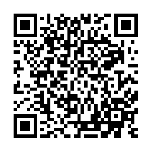他们甚至在心里有一点羡慕异界的修士们可以自由自在的生活二维码生成