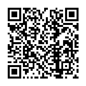 他们甚至已经做好了同伴和自己被杖毙的心理准备二维码生成