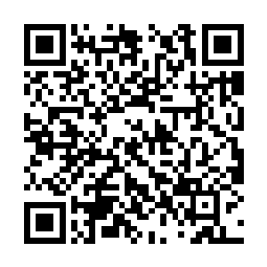 他们甚至怀疑神武大陆到底有没有超级矿脉的存在二维码生成